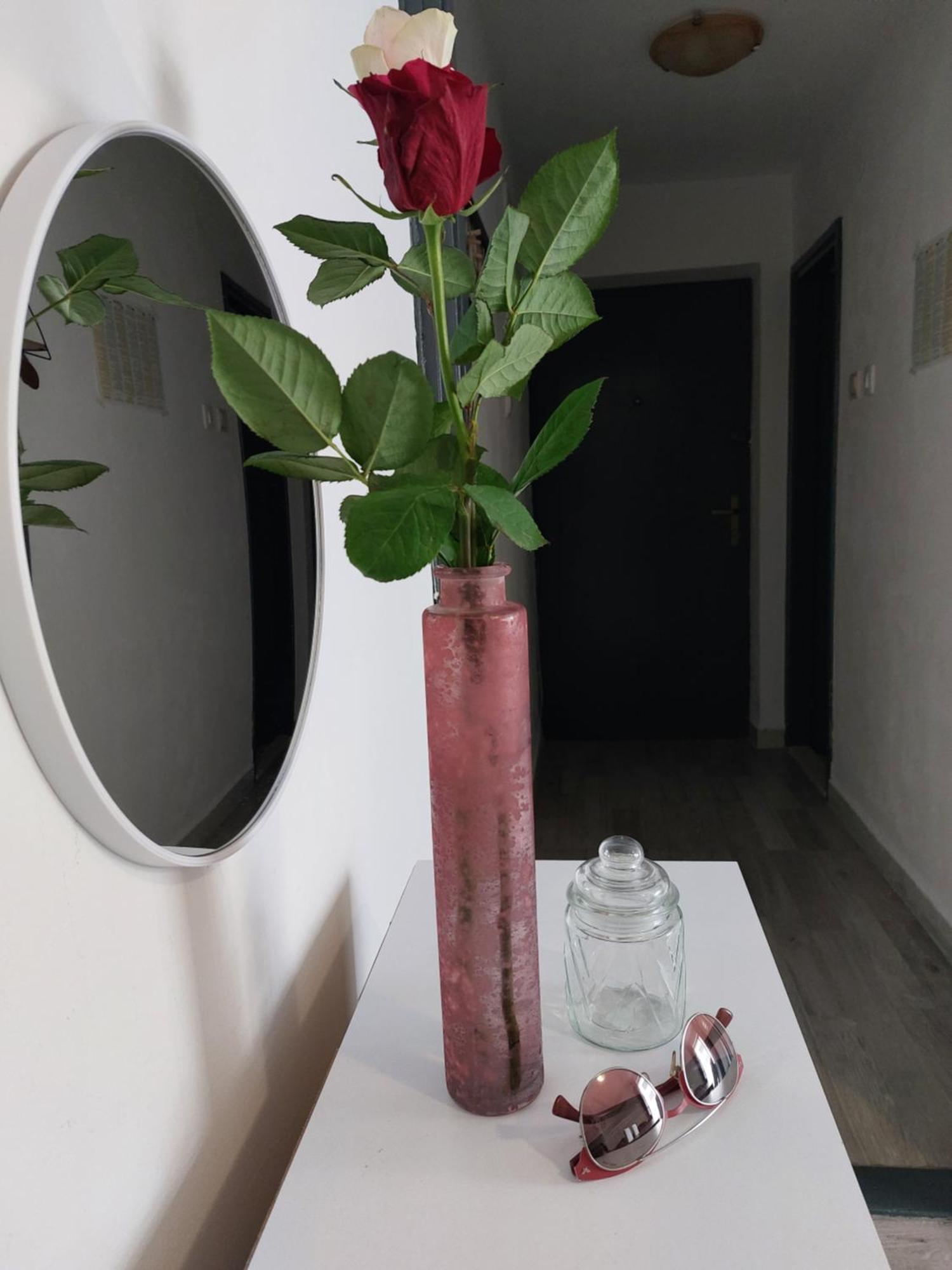 Apartment "None" マカルスカ エクステリア 写真